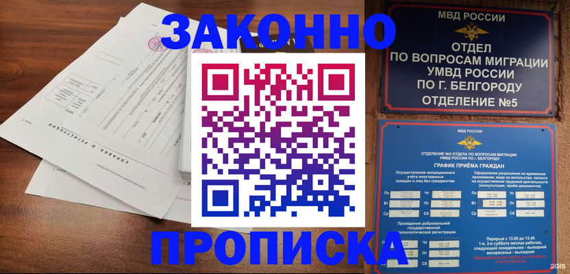 прописка в Камышине